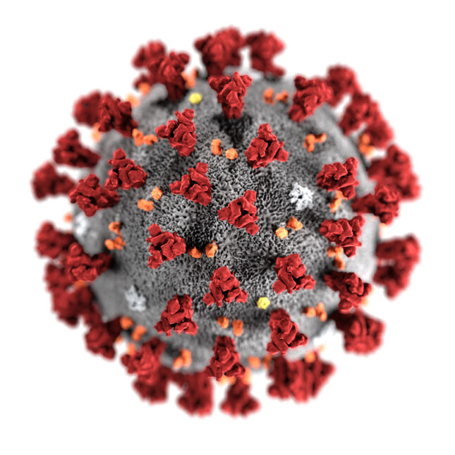 Coronavirus CDC 645x645